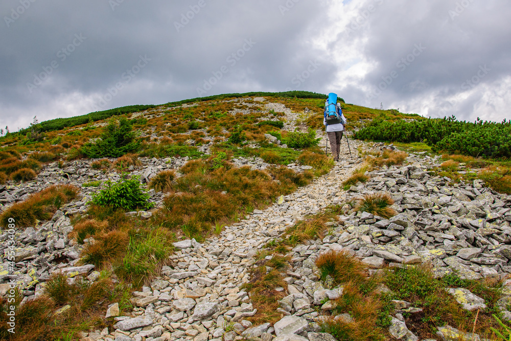 A  tourist with a large backpack climbs a mountain stone path high in the Carpathian 