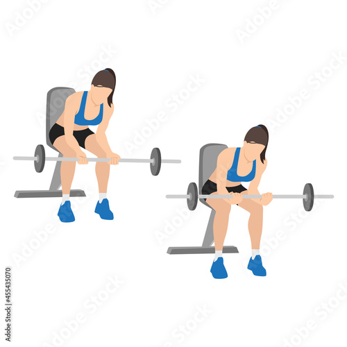 Woman doing Seated Palm up wrist curls  exercise. Flat vector illustration isolated on white background