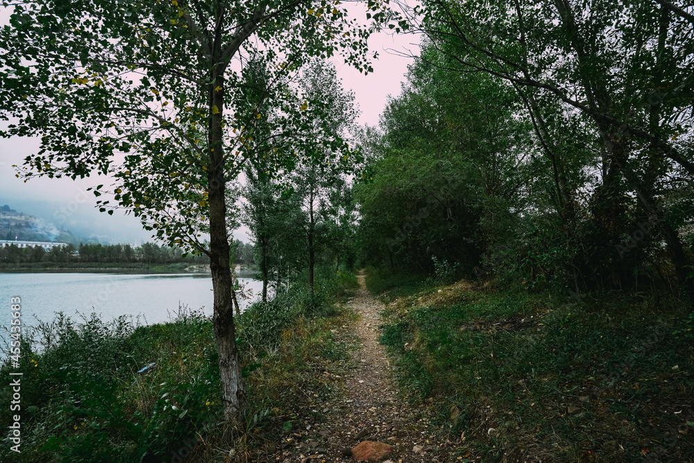 Path in the forest next to the lake. Beginning of autumn. Rain season. Overcast. End of summer Path in the forest next to the lake. Beginning of autumn. Rain season. Overcast. End of summer