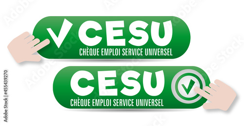 CESU, Chèque emploi service universel