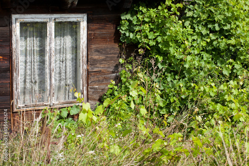 Old wooden traditional country house with wooden window, overgrown with vines, fragment.