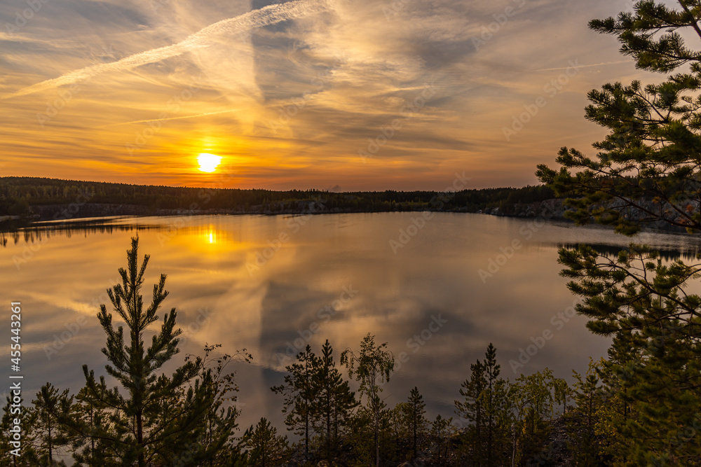 Birch and pine trees with green leaves are by a lake in a park in the evening. Sunset