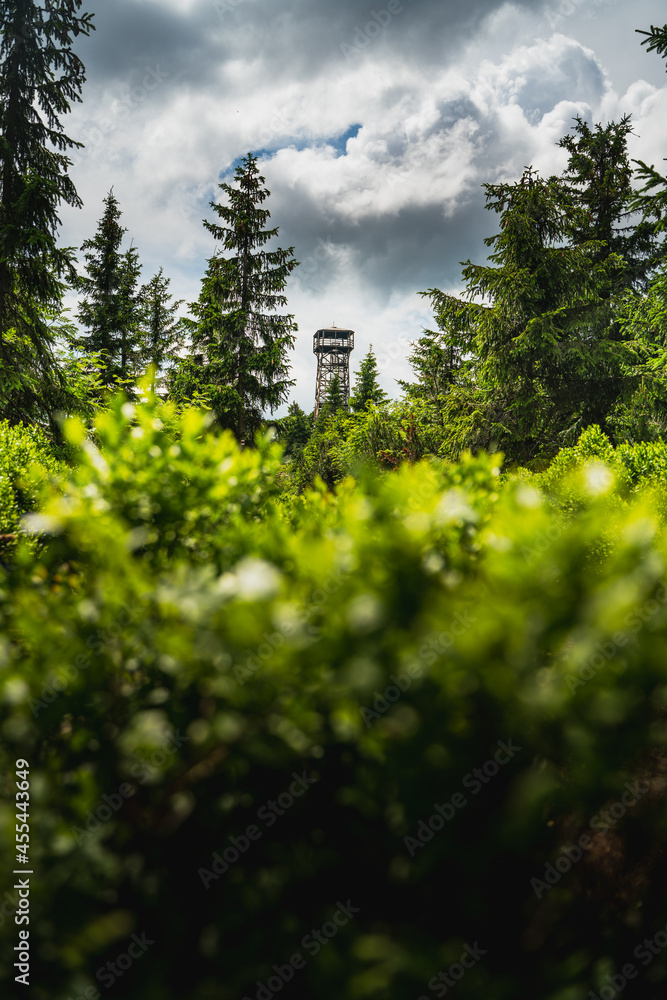 Fototapeta premium Klepac - lookout tower on the peak of Eagle mountains, Czech republic, Poland