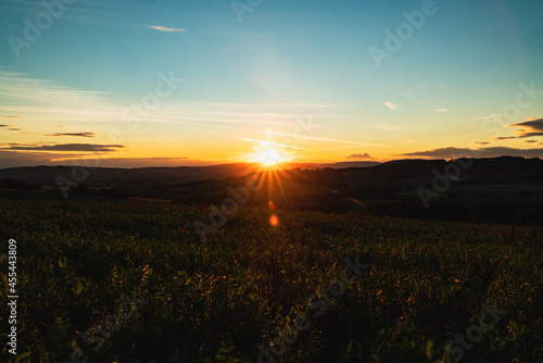 sunset over the field