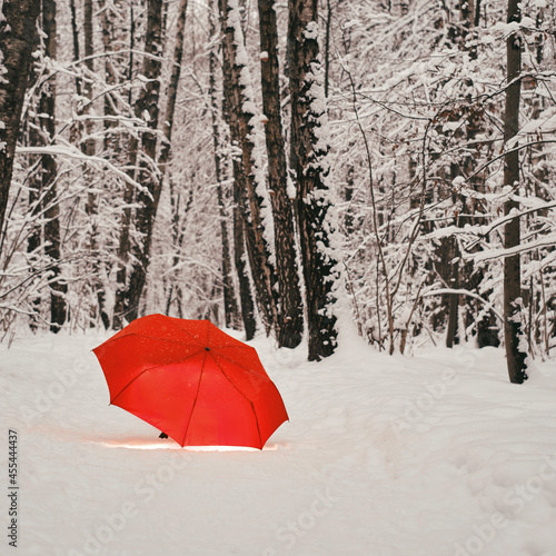 Fototapeta Naklejka Na Ścianę i Meble -  A red umbrella lies on a path in the park, a winter forest with trees in the snow