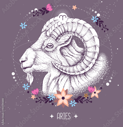 Modern magic witchcraft card with astrology Aries zodiac sign. Realistic hand drawing ram or mouflon head