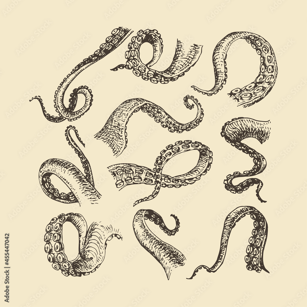 Octopus tentacles, sketches set. Feelers in vector Octopus tentacles, sketches set. Feelers in vector