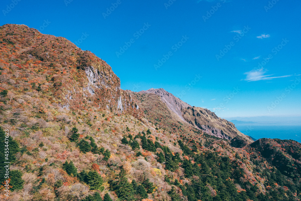 紅葉に溢れる山の景色