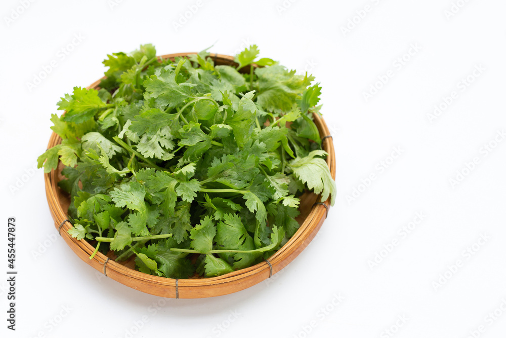 Fresh coriander leaves in bamboo basket on white background. Fresh coriander leaves in bamboo basket on white background.