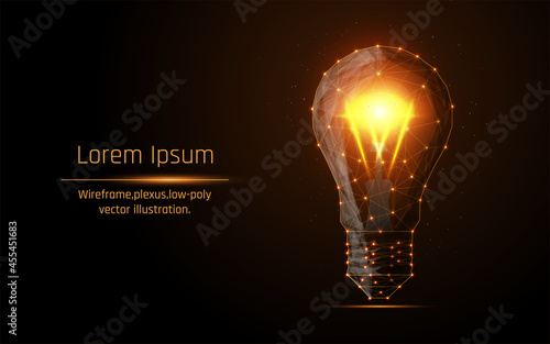 Abstract image of a lamp bulb consisting of points, lines, and shapes. Vector business illustration. Space poly, stars and universe.vector illustration, triangle,plexus,low poly,dot