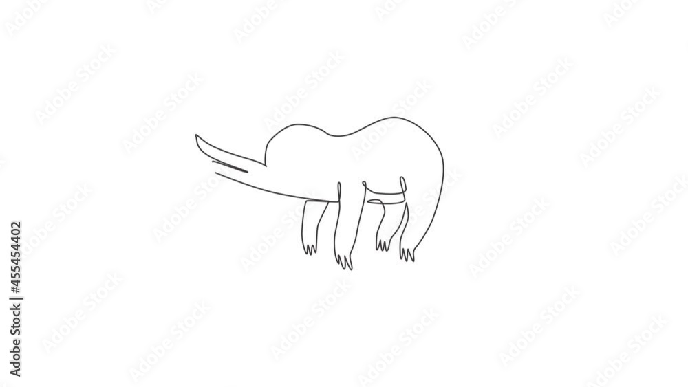 Animation of one single line drawing of lovely adorable sloth sleeping at branch tree for logo identity. Cute mammal mascot concept for zoo icon. Continuous line self draw animated. Full length motion Animation of one single line drawing of lovely adorable sloth sleeping at branch tree for logo identity. Cute mammal mascot concept for zoo icon. Continuous line self draw animated. Full length motion