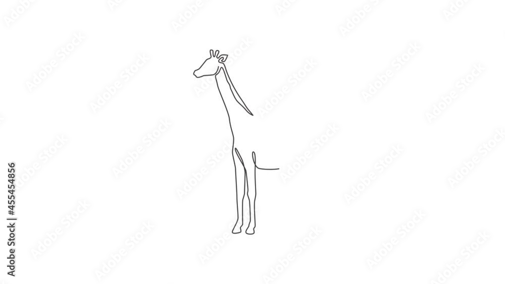 Animated self drawing of one continuous line draw giraffe for national zoo logo identity. Adorable tall animal mascot concept for conservation park icon. Full length single line animation illustration Animated self drawing of one continuous line draw giraffe for national zoo logo identity. Adorable tall animal mascot concept for conservation park icon. Full length single line animation illustration