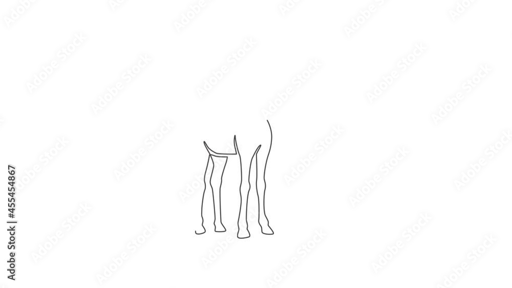Animation of one line drawing of cute giraffe for safari logo. Adorable giraffe animal mascot concept for Africa conservation national park icon. Continuous line self draw animated. Full length motion Animation of one line drawing of cute giraffe for safari logo. Adorable giraffe animal mascot concept for Africa conservation national park icon. Continuous line self draw animated. Full length motion