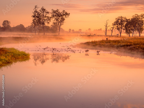 Fototapeta Naklejka Na Ścianę i Meble -  Misty Riverside Morning with Water Birds