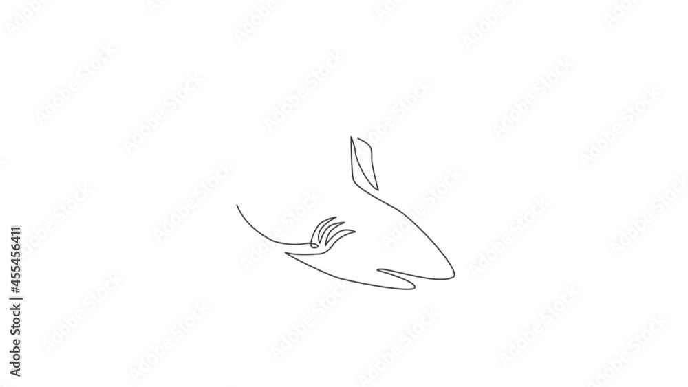 Animated self drawing of continuous line draw aggressive shark for nature adventure company logo. Wildlife sea fish animal concept for safe ocean organization mascot. Full length one line animation. Animated self drawing of continuous line draw aggressive shark for nature adventure company logo. Wildlife sea fish animal concept for safe ocean organization mascot. Full length one line animation.