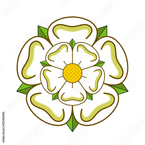 White Rose of York