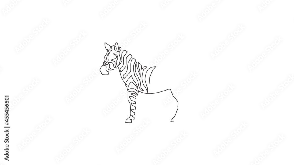Animation of one line drawing of zebra for national park zoo safari ...