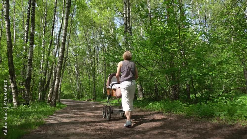 Girl with the baby carriage is walking in a Birch Grove. Girl with the baby carriage is walking in a Birch Grove.