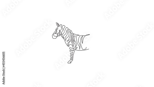 Animated self drawing of single continuous line draw elegant zebra company logo identity. Horse with stripes mammal animal concept for national park safari zoo mascot. Full length one line animation.