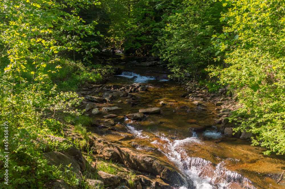 Czarna Wiselka creek. Source creek of the Vistula River. Czarna Wiselka creek. Source creek of the Vistula River.