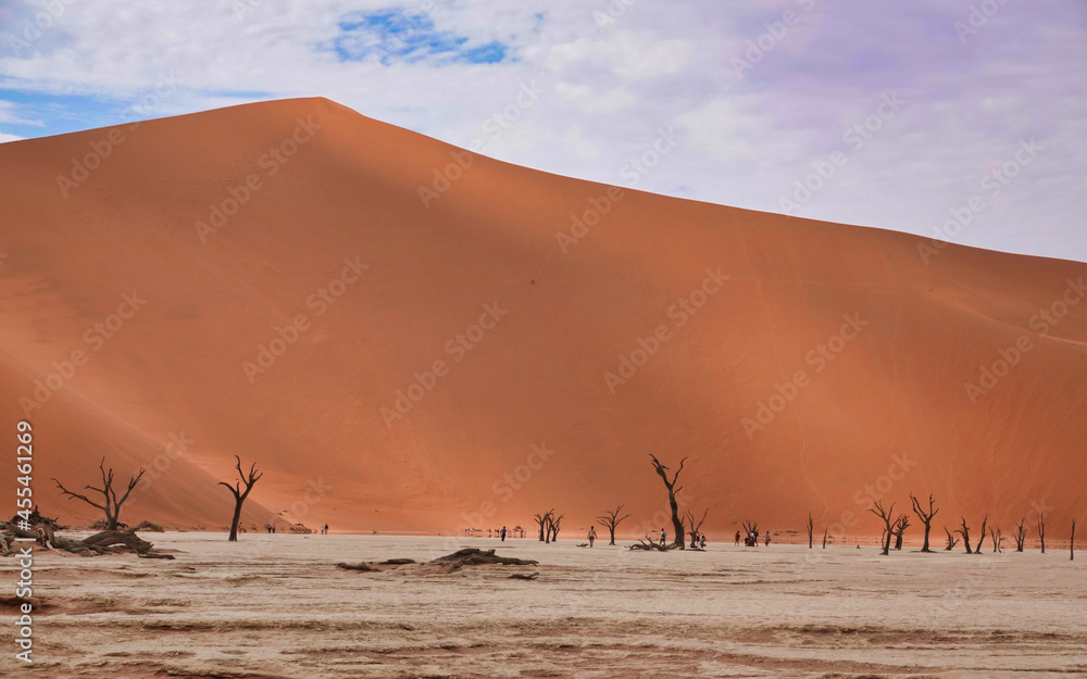 The red desert, dead trees, and tourists hiking in the sand dunes. The red desert, dead trees, and tourists hiking in the sand dunes.