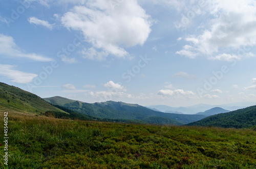 Fototapeta Naklejka Na Ścianę i Meble -  Bukowe Berdo - Bieszczady 