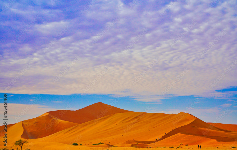 The red desert, dead trees, and tourists hiking in the sand dunes.