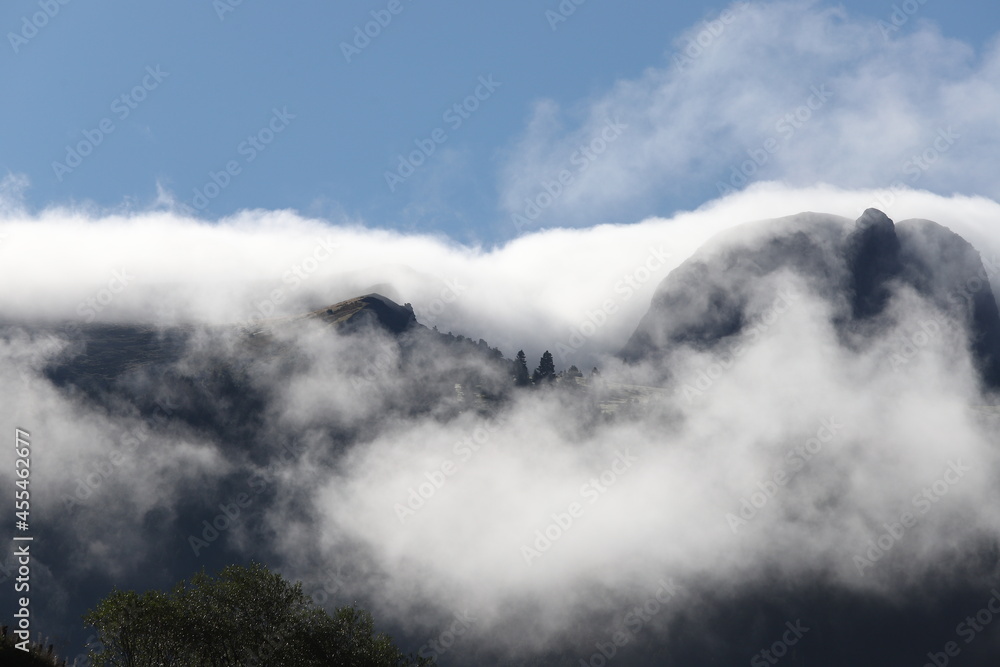Foggy mountain landscape with fir forest. artvin Foggy mountain landscape with fir forest. artvin