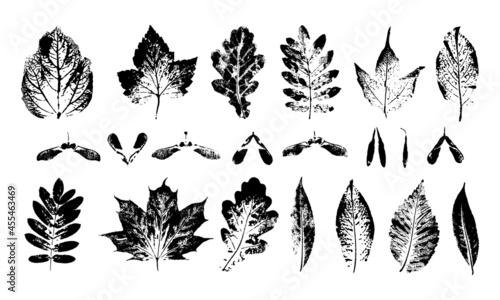 Vector сollection Leaf print. Different black imprints leaves stamp. Hand drawn mark foliage elements on white background