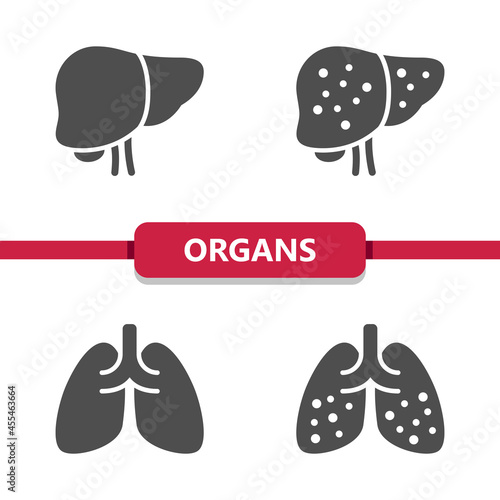 Internal Organs Icons