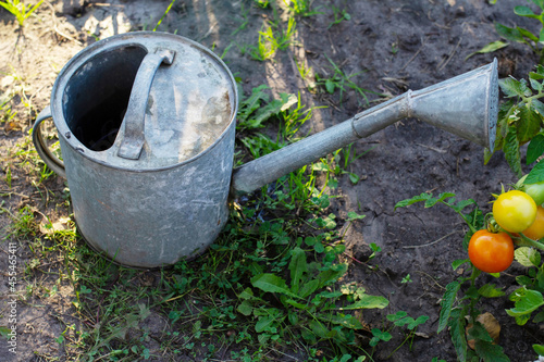 iron watering can in the garden