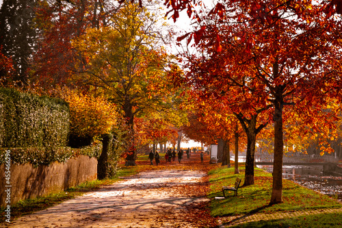 Autumn alley in the park. Orange trees and people walking on an autumn evening.