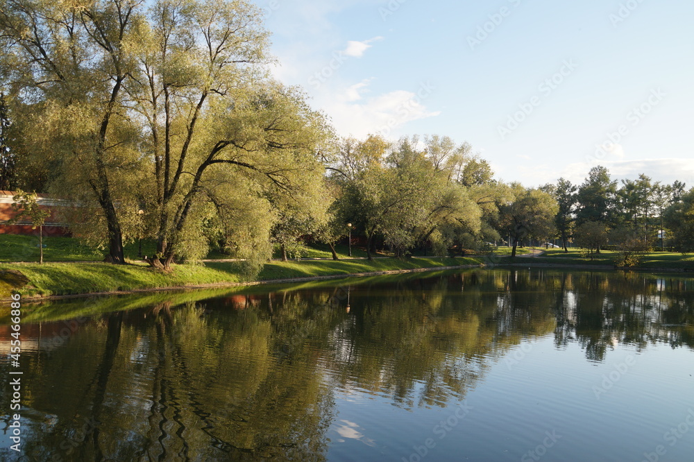 reflection of trees in the lake