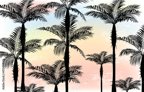 Seamless pattern with silhouettes of palm trees. Poster with tropical trees and multicolored sky. Design for printing on paper and fabric. Print for shirts. Cartoon modern flat vector illustration