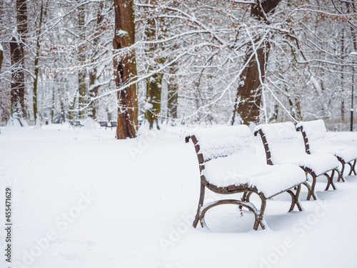 benches in a city park covered with fresh snow, city park in a winter season © lenaivanova2311