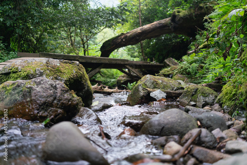 Water in a small mountain river flows under
