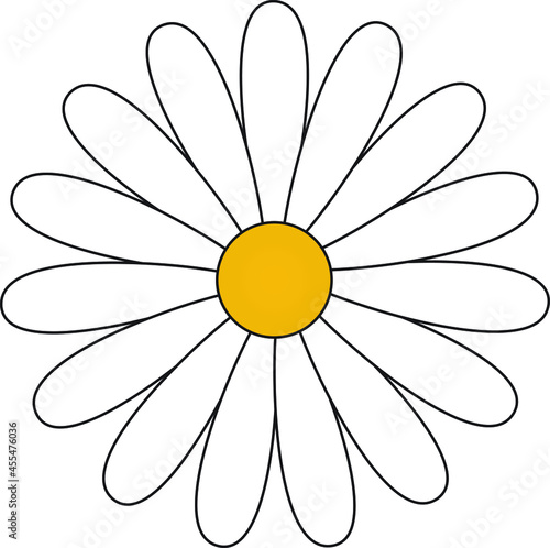 Foto white daisy vector, daisy isolated on white, White daisy chamomile,
