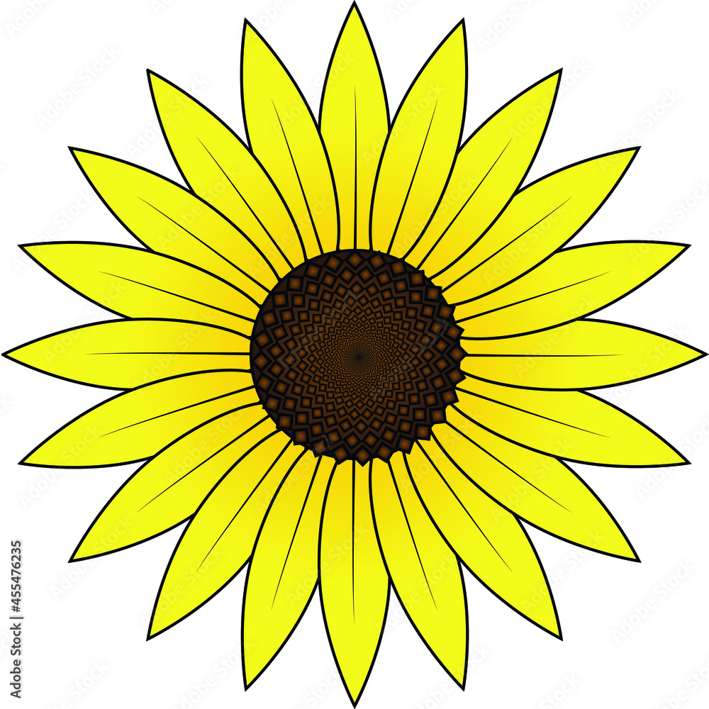 Fototapeta premium Yellow Sunflower flower vector, Beautiful Sunflower, abstract sunflower design