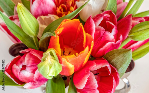 colorful tulip flowers bunch top view closeup