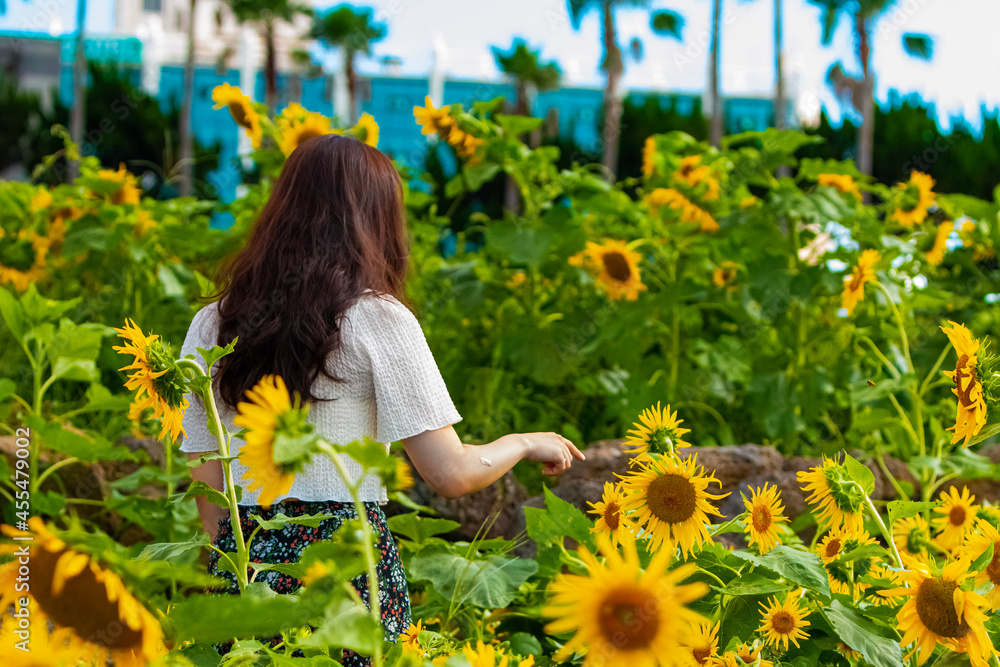 girl with dandelions girl with dandelions