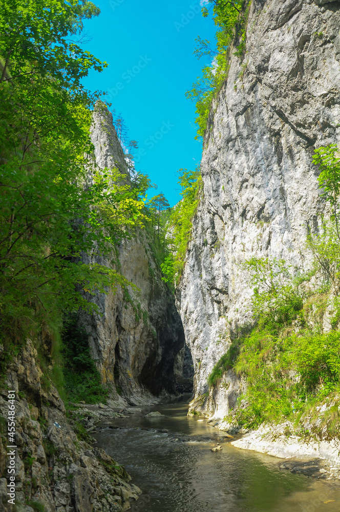 A mountain stream flowing through a canyon narrowed by vertical stone walls and sharp cliffs. Ramet gorges, Carpathia, Romania. 