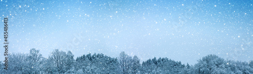 Winter panorama landscape with trees covered snow and snowfall .