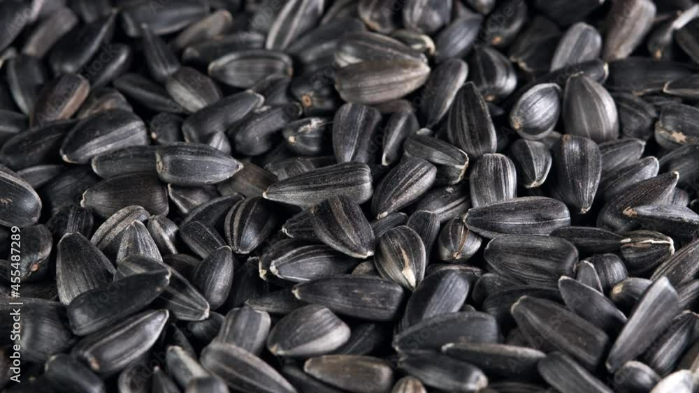 The sunflower seeds on a plate close-up. The sunflower seeds after harvest. Pile of Dried Sunflower Unpeeled Seeds, a Healthy Source of Vitamins in Vegan Food. The sunflower seeds on a plate close-up. The sunflower seeds after harvest. Pile of Dried Sunflower Unpeeled Seeds, a Healthy Source of Vitamins in Vegan Food.