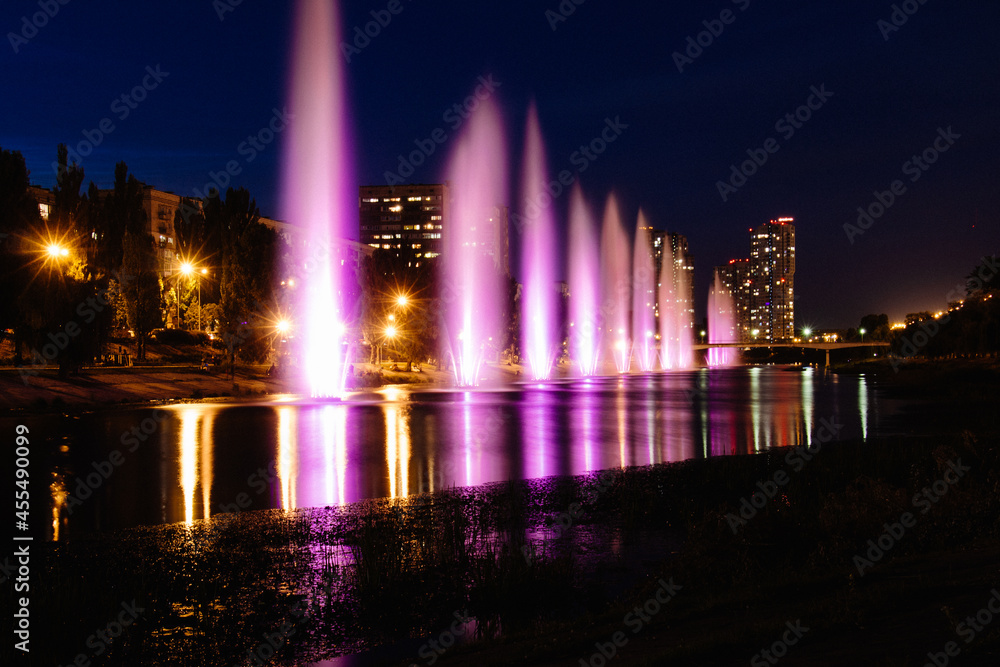 Obraz premium fountain at night