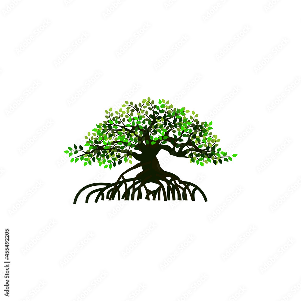 Obraz premium tree and roots vector illustrations, mangrove tree