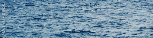 Serene nautical landscape with blue sea water waves, calming nature water © dariazu
