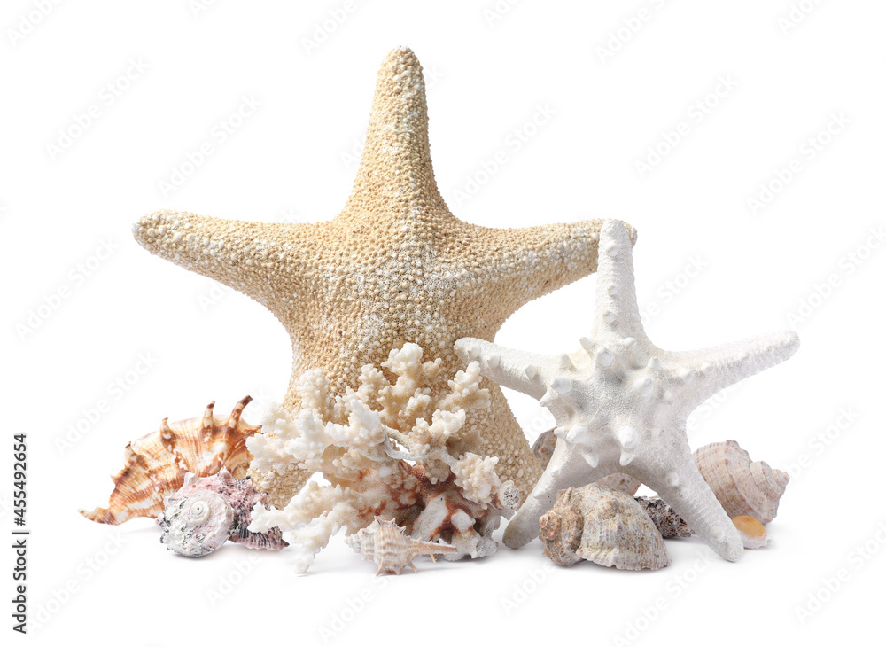 Beautiful sea stars, coral and seashells on white background Beautiful sea stars, coral and seashells on white background