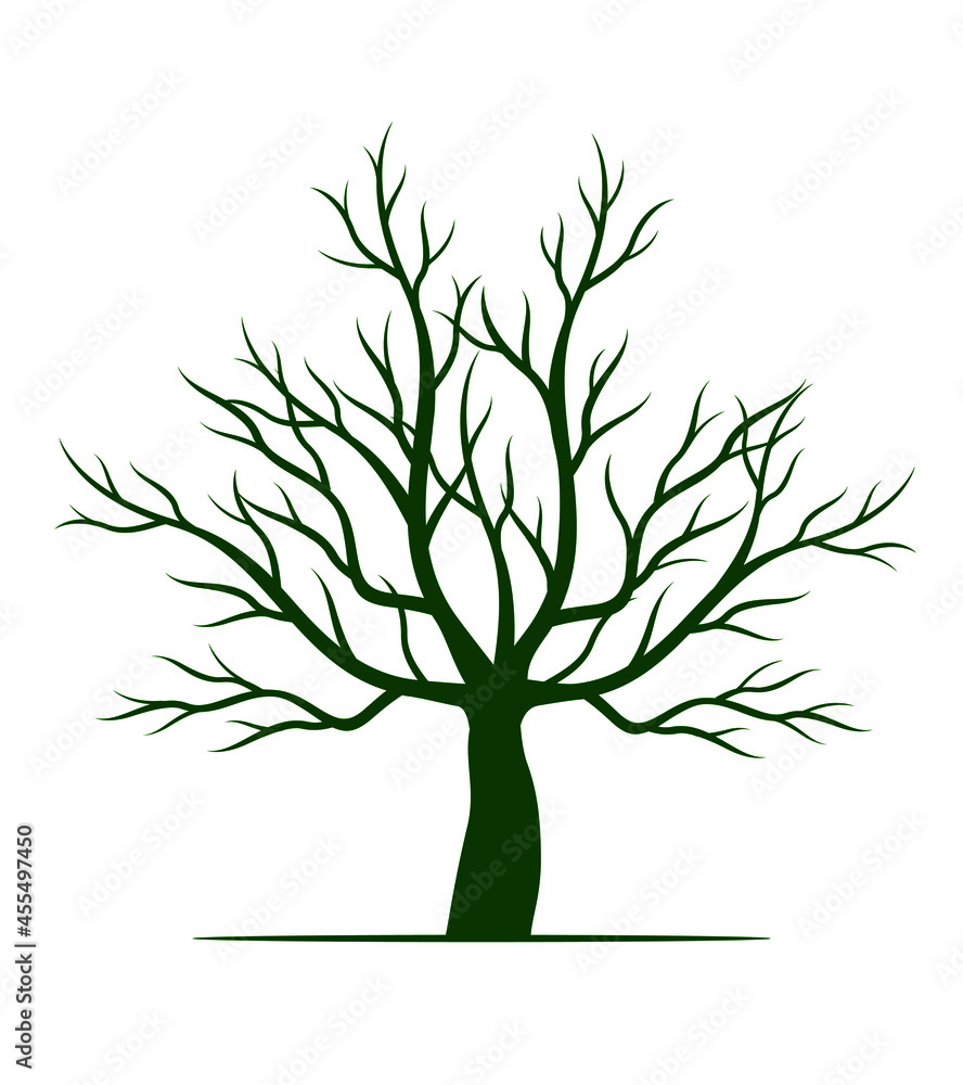 Obraz premium Green tree on white background. Vector outline Illustration. Plant in Garden.
