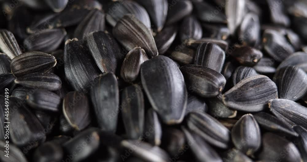 The sunflower seeds on a plate close-up. The sunflower seeds after harvest. Pile of Dried Sunflower Unpeeled Seeds, a Healthy Source of Vitamins in Vegan Food. The sunflower seeds on a plate close-up. The sunflower seeds after harvest. Pile of Dried Sunflower Unpeeled Seeds, a Healthy Source of Vitamins in Vegan Food.