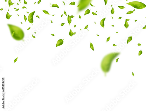 Leaf falling frame. Green flying leaves on white banner. Vegan, eco, bio design element. Organic cosmetic border. Foliage ornament. Fresh tea background. Beauty product. Vector illustration